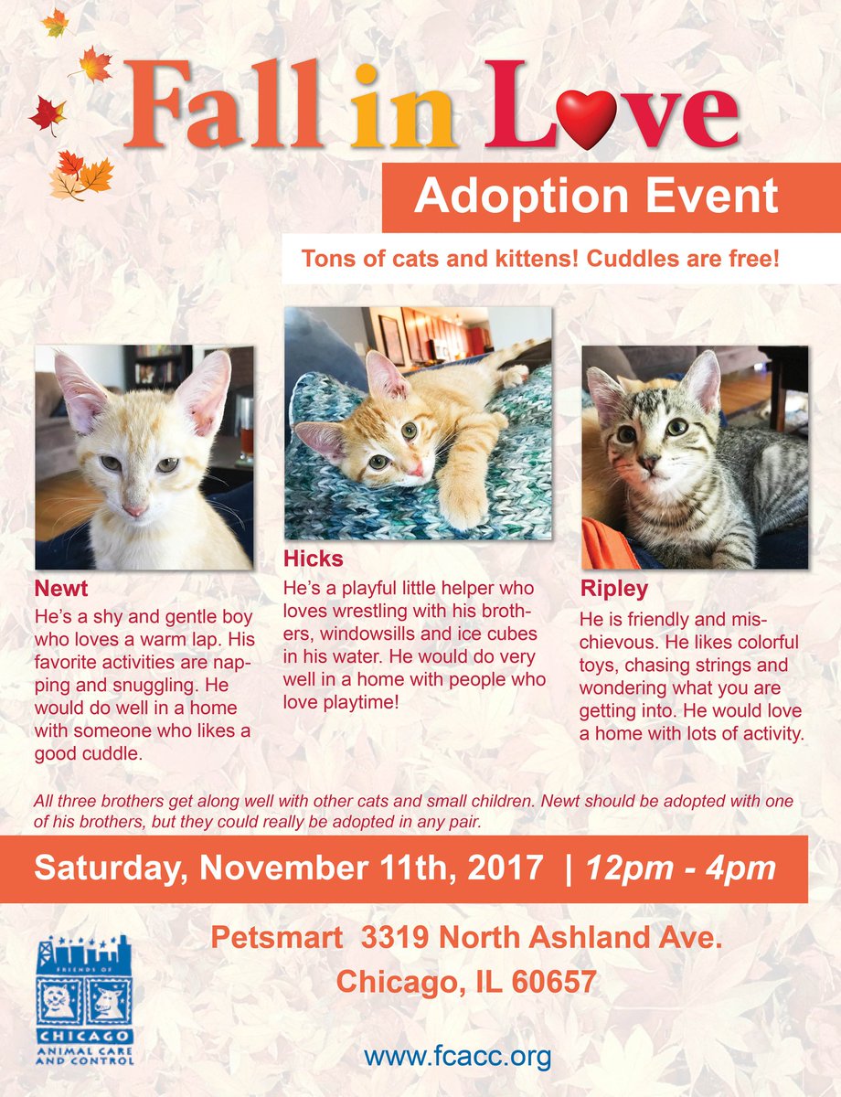 MissQuirkyBear's tweet photo. The Chicago Petsmart I volunteer at is having an adoption event this saturday. Please stop by and meet our many cute furry friends! *I also made the flyer ๐
#chicago #petsmart #adoptionevent #cats #cutecats #availablecats #kittens #AdoptDontShop #chicagocats #Adopt #availablecat https://t.co/ULYdYZZW7z