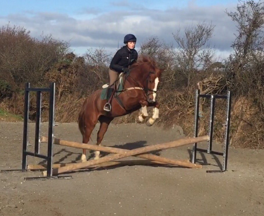 corish_joanne's tweet photo. Super cool 4 yr old https://t.co/eDqlVGJd32