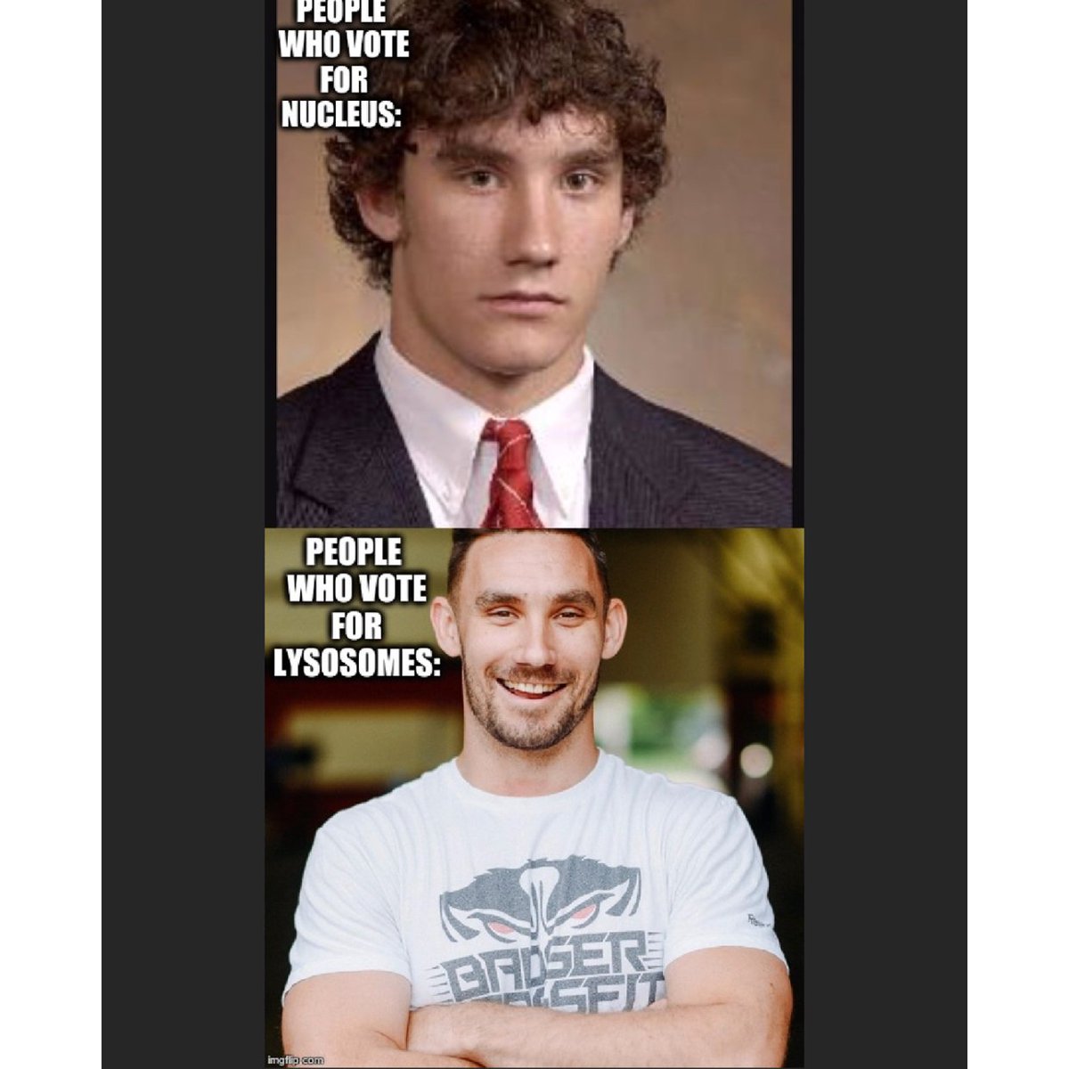 _lysosomes_'s tweet photo. Who would you want to be?? 🤔
#TWOrganelleVote2017 https://t.co/oDxDDAGvQ6