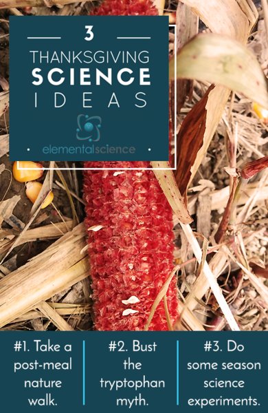 elementalscienc's tweet photo. 3 Thanksgiving science ideas https://t.co/8yqzy6zoF7 #ThrowbackThursday #Thanksgiving #scienceideas https://t.co/zywVkwYOhy