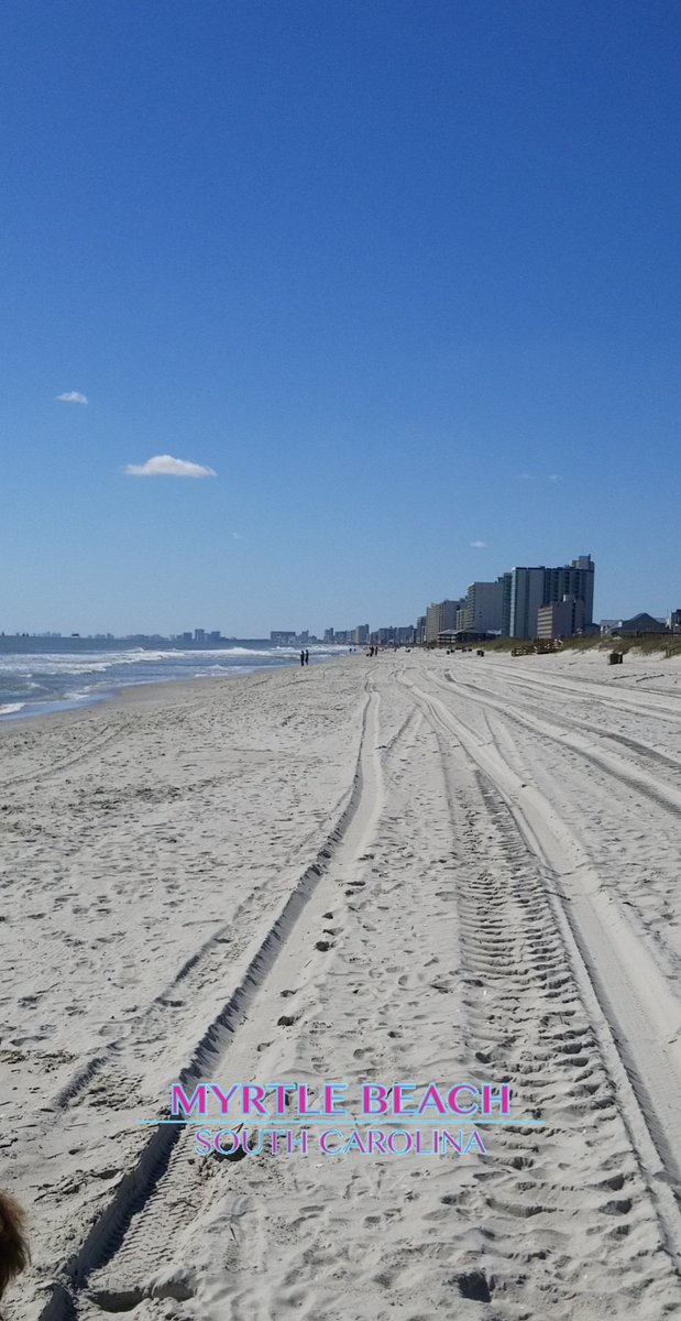 My family only flies <a href="/SpiritAirlines/">Spirit Airlines</a> to Myrtle Beach. Thanks for always getting us to our happy place.  #morego