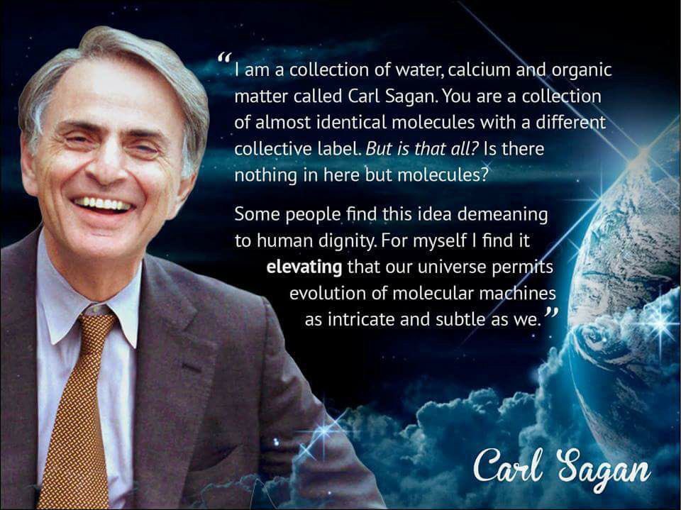 Happy Birthday Carl Sagan   