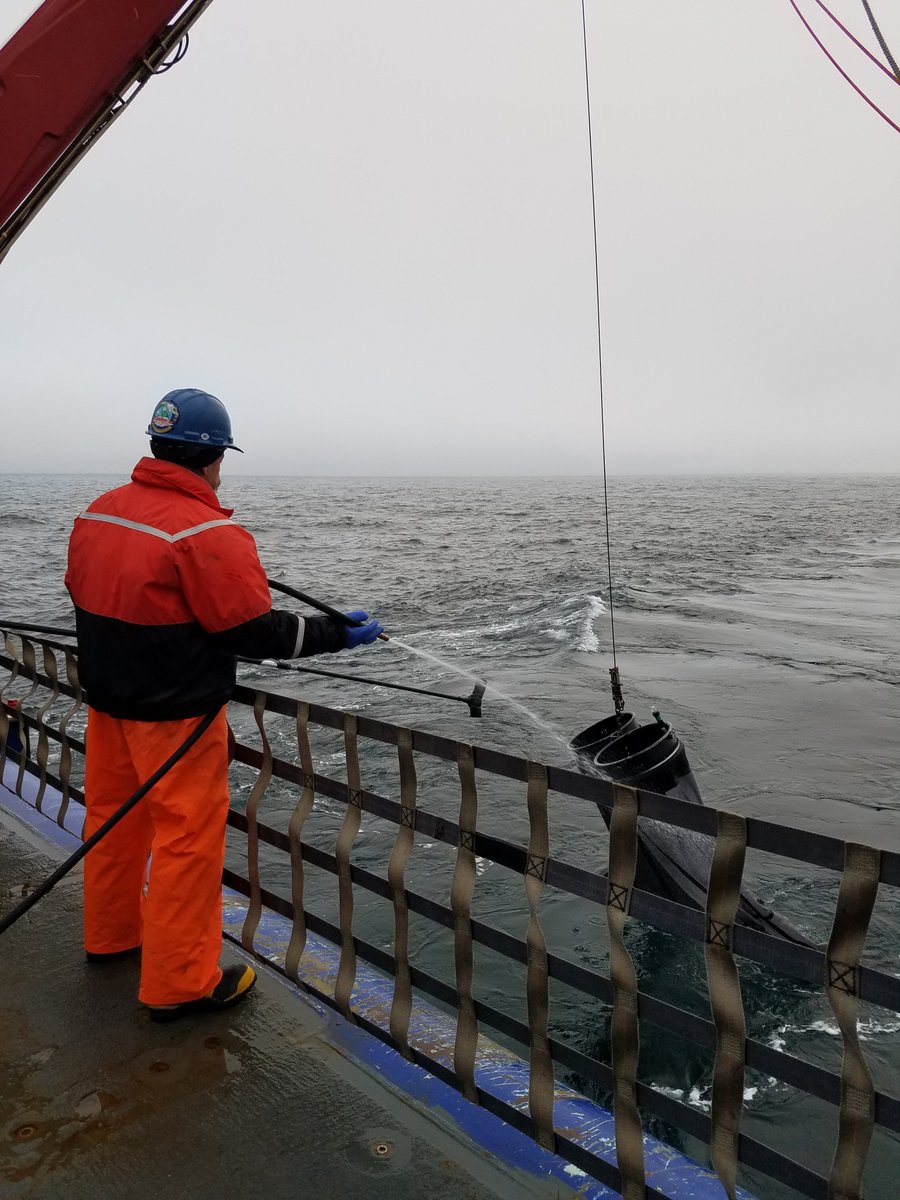 sikuliaq's tweet photo. The @arctic_wfff cruise used #bongonets to study the Arctic food chain at the shelf break of the #Beaufort Sea. Photos by Diana Campbell. #sikuliaq #nanooknation https://t.co/JYWpXbatBB