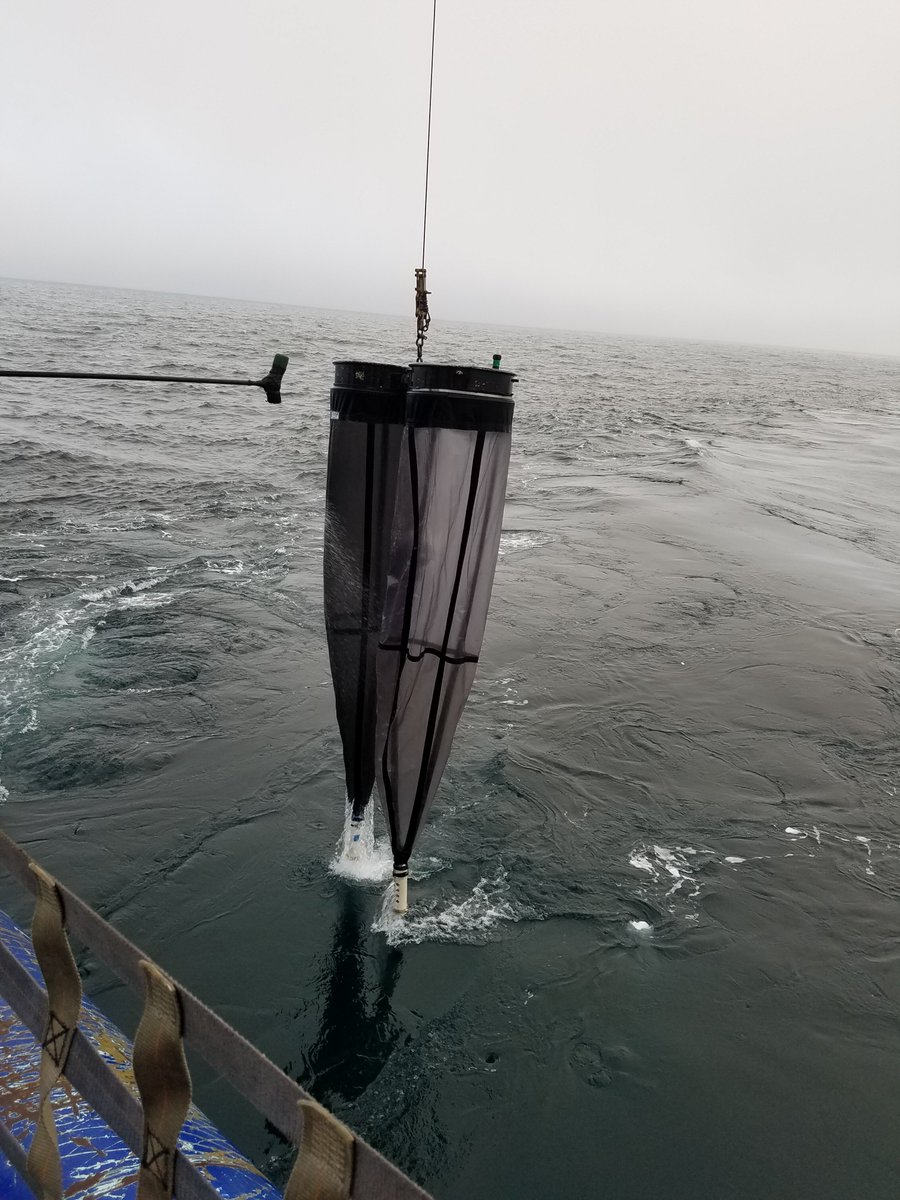 sikuliaq's tweet photo. The @arctic_wfff cruise used #bongonets to study the Arctic food chain at the shelf break of the #Beaufort Sea. Photos by Diana Campbell. #sikuliaq #nanooknation https://t.co/JYWpXbatBB