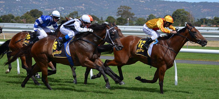 On the final countdown 8 days until our Telscombe Race Night. Got your tickets yet? Contact 01273 589777 for info and to buy.  Hope to see you there!