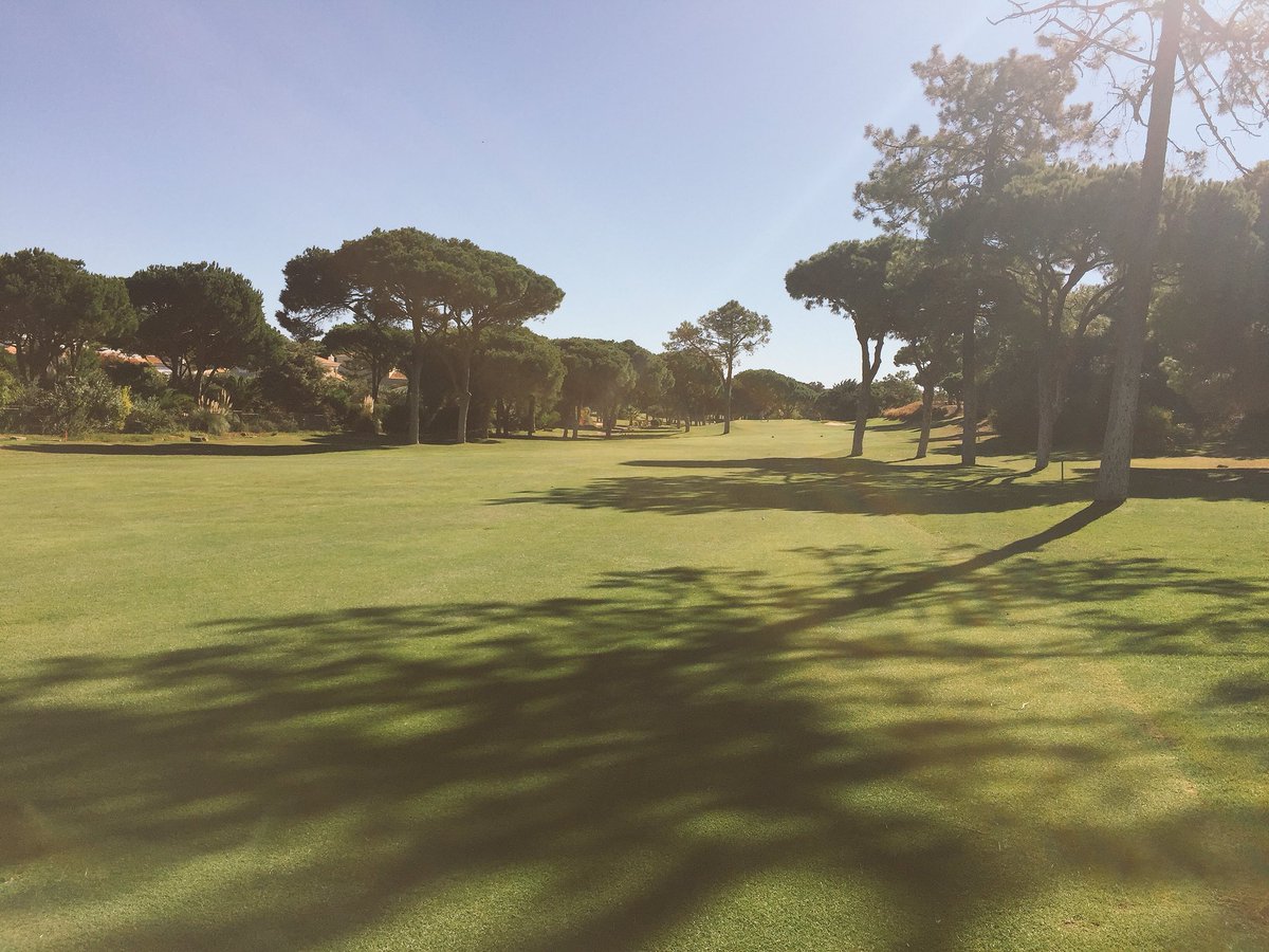 marknoviss's tweet photo. Solid first day on tour #golf https://t.co/wIhjqKTzYj