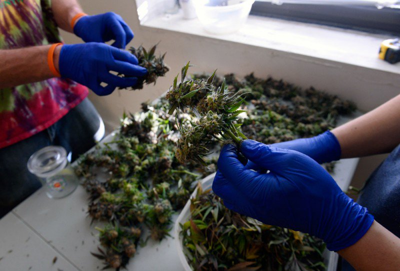 cannabist's tweet photo. JUST IN: Colorado marijuana shops maintain $136M pace for third straight month https://t.co/uVb1wNAVIg https://t.co/fxzMRiFbgE