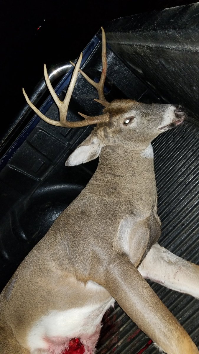 DustinJarrett's tweet photo. A couple more pics. Thanks everyone for the kind words.#FirstBowKill https://t.co/VWewJQSPSs