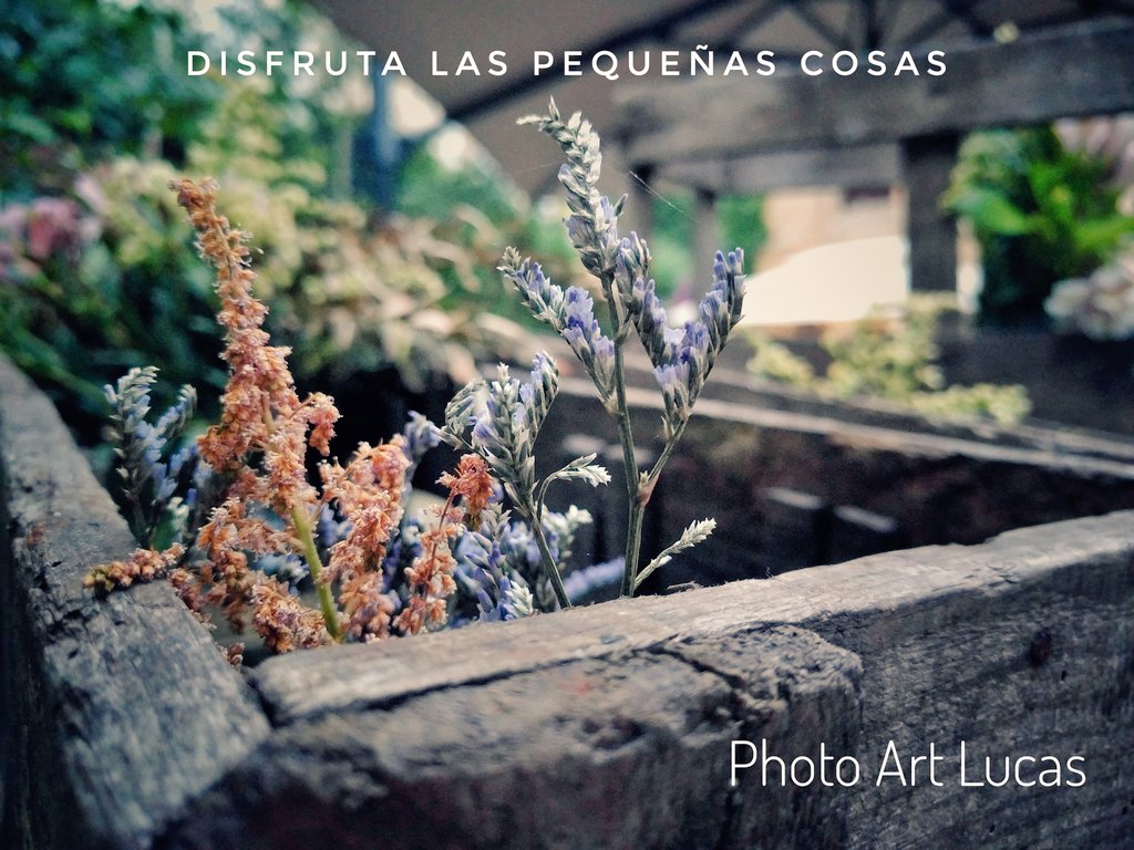 Photo_art_Lucas's tweet photo. Disfruta las pequeรฑas cosas #BuenasNoches #goodnight #Enjoyablemoment https://t.co/hY5LxZsgap