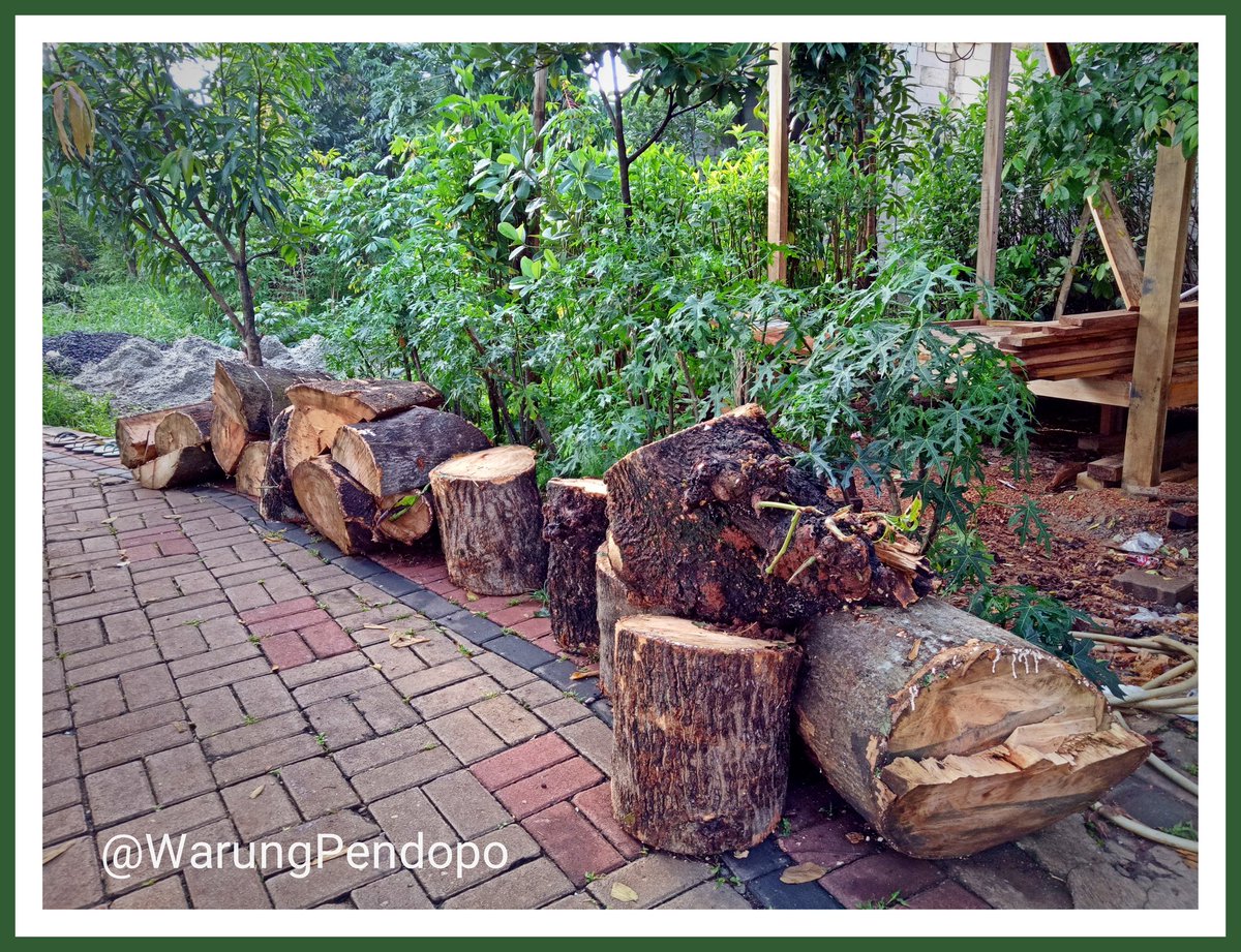 D_Pesanggrahan's tweet photo. Memanfaatkan kayu yang baru saja ditebang dari sebuah pohon tua di tepi #DanauPesanggrahan  untuk dimanfaatkan sebagai kursi unique taman. 

#CreativeWood
#WarungPendopo
#PesanggrahanBerdaya https://t.co/WKqPiivJ4t