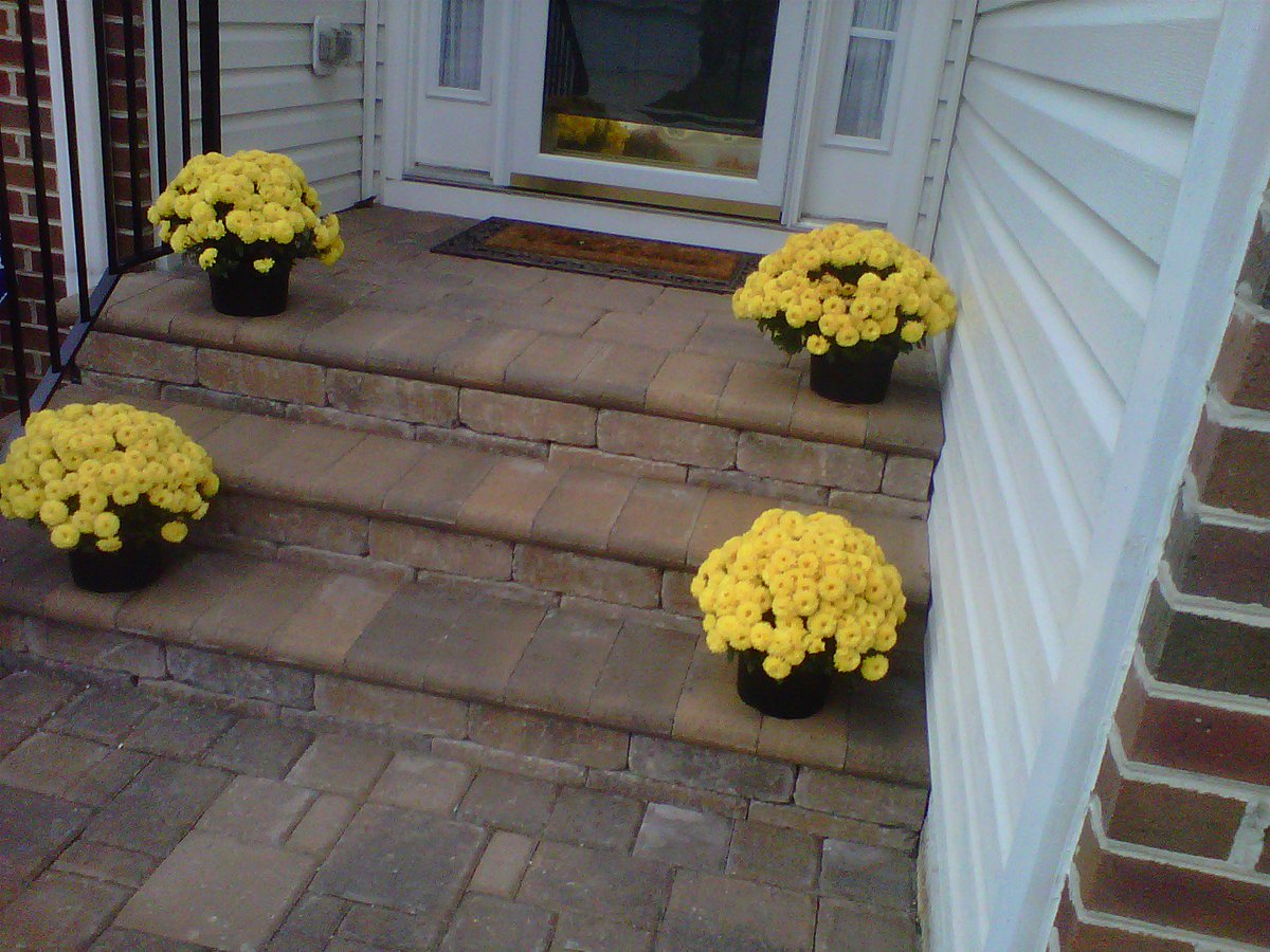 PaversWallsMD's tweet photo. Mums on our job off College Parkway in #ArnoldMD #Annapolis #AnneArundelCounty #pavers #PatioBuilderMD https://t.co/fBd2FWoVJO