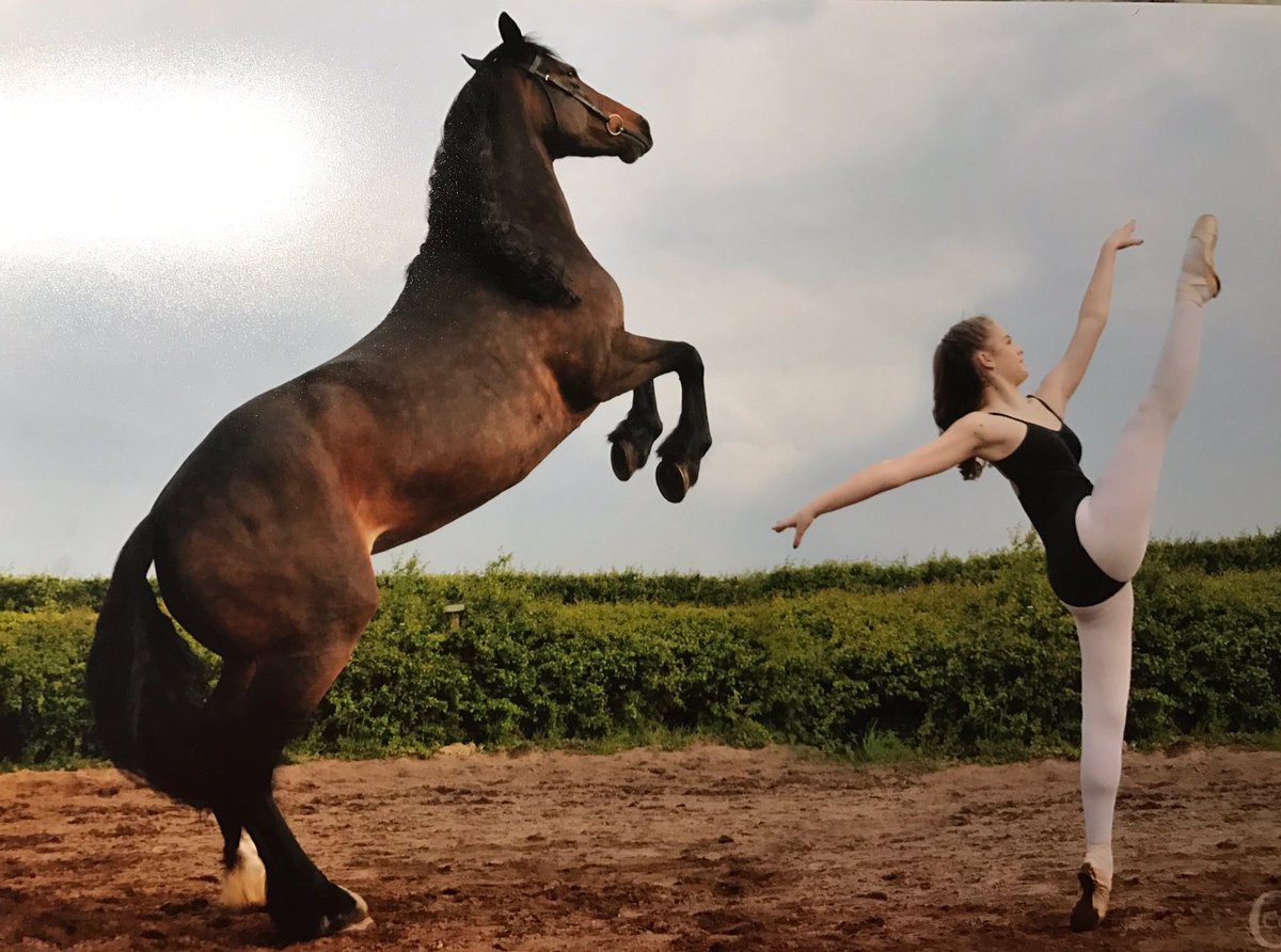EquestriMeg's tweet photo. This is my shire x dancing with my very talented cousin who is a ballet student at #Elmhurst just to brighten your day @saveourshires https://t.co/jFMWTc7KZk
