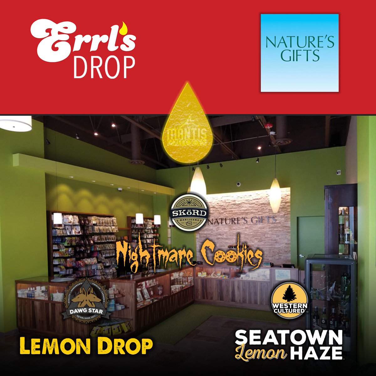 _errls's tweet image. Damn‼️ 🚨 35% off all #errls and #mantisextracts tomorrow at @Natures__Gifts in Sequim 🙌🙌