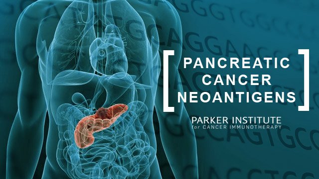 Parker Institute for Cancer Immunotherapy tweet media