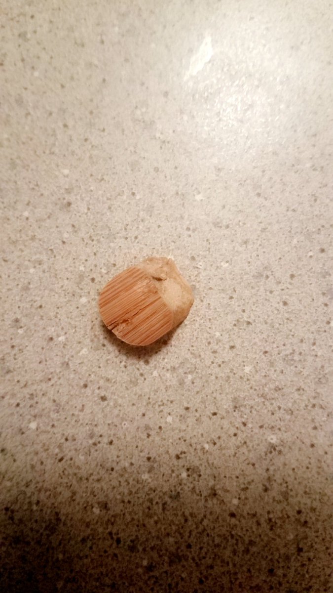 RRHolt's tweet photo. @dogchow just found this in my dog's food.... https://t.co/oFfkUnm5vC