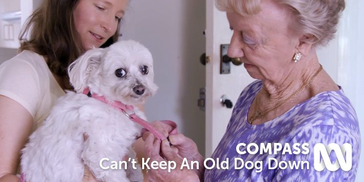 Humans and dogs all need the same things when they grow old – health, home and family. @ABCiview ab.co/2iG3bME
