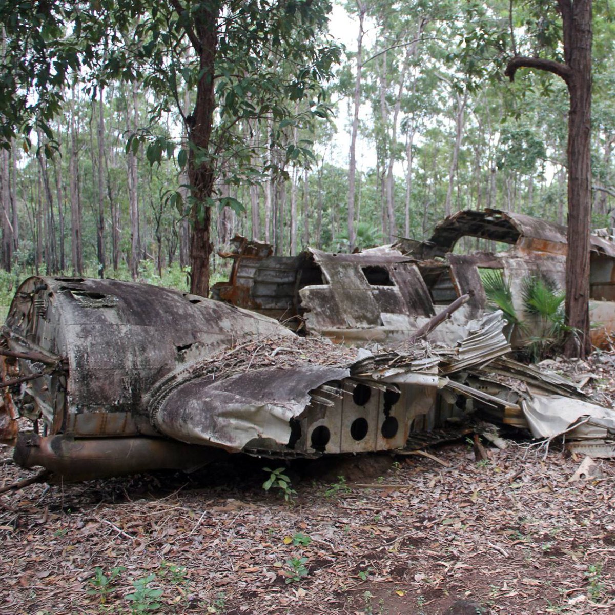 aaronsmithtweet's tweet photo. AILAN LIFE: #WWII #WarRelic #planewreck #TorresStrait #CapeYork #thisisqueensland #farnorthqueensland #islandlife https://t.co/maFZDs4ClU