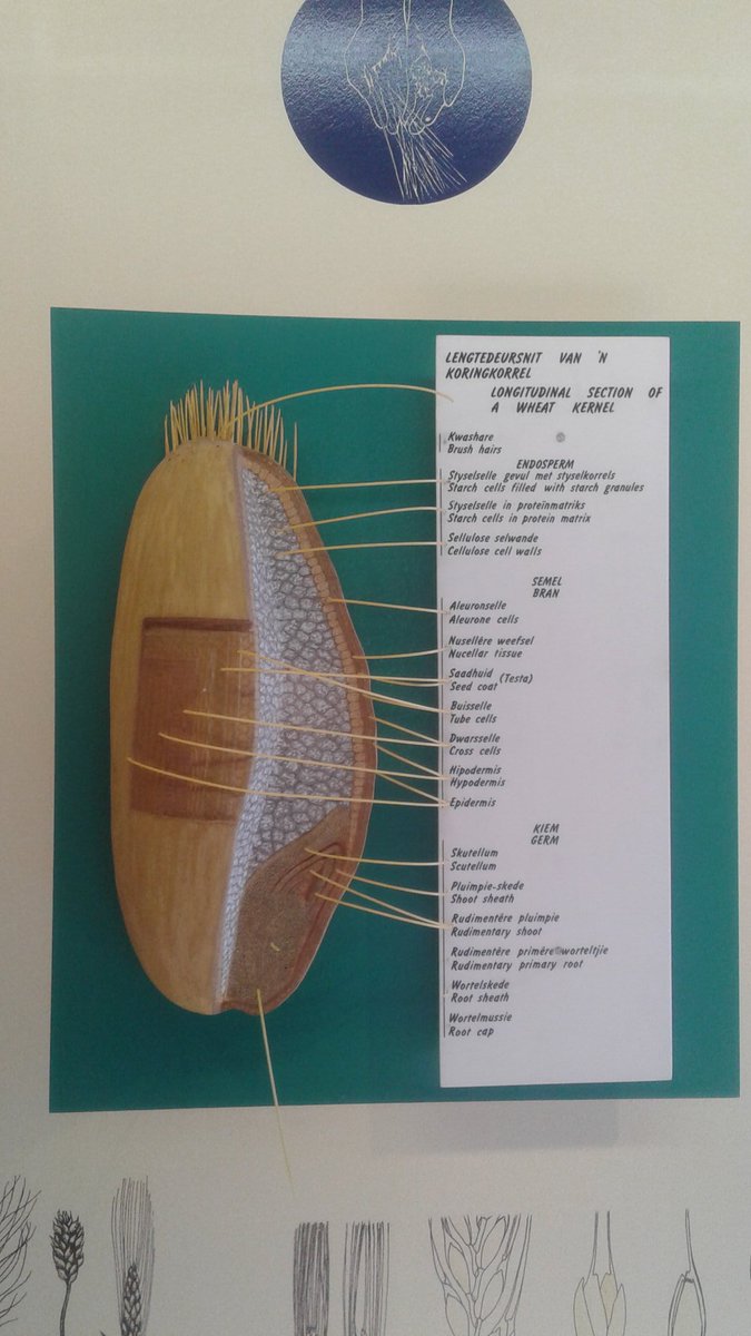 Weskus Officail Training
Day 1
Koringbedryf Museum
#ExploreSwartland
#Weskus
<a href="/WeskusTourism/">Weskus Tourism</a>