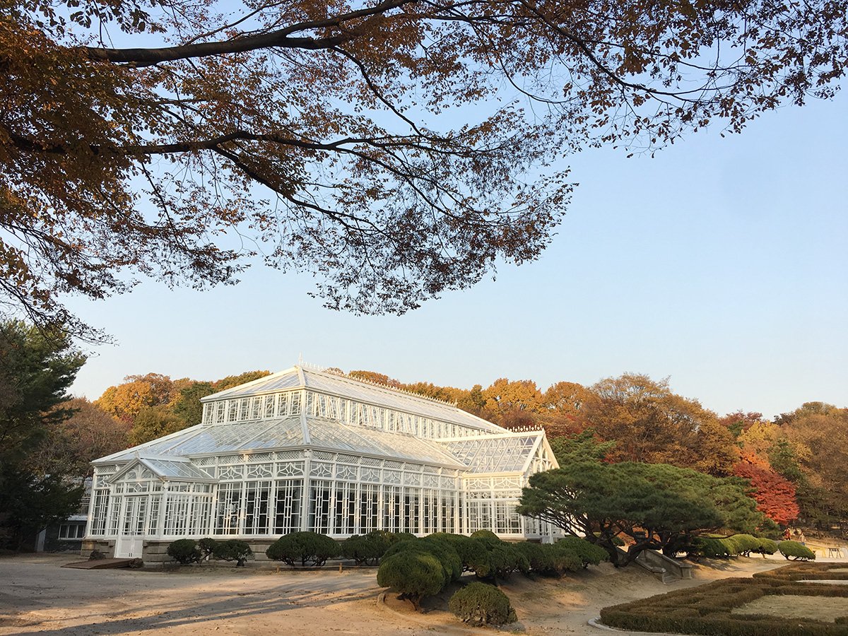 ● 오늘부터 창경궁 대온실 개방합니다. 유리 너머로 산산히 부서지는 햇살이 참 예쁘고, 기분 좋은 곳이랍니다 : )