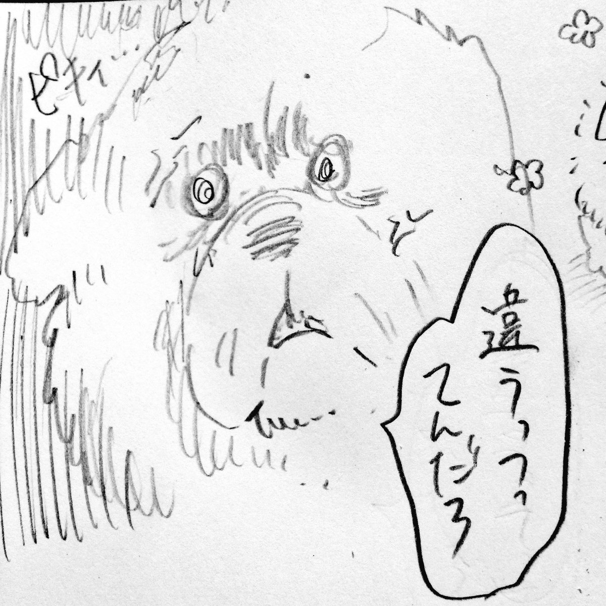 ガチおこチャウチャウ犬。 