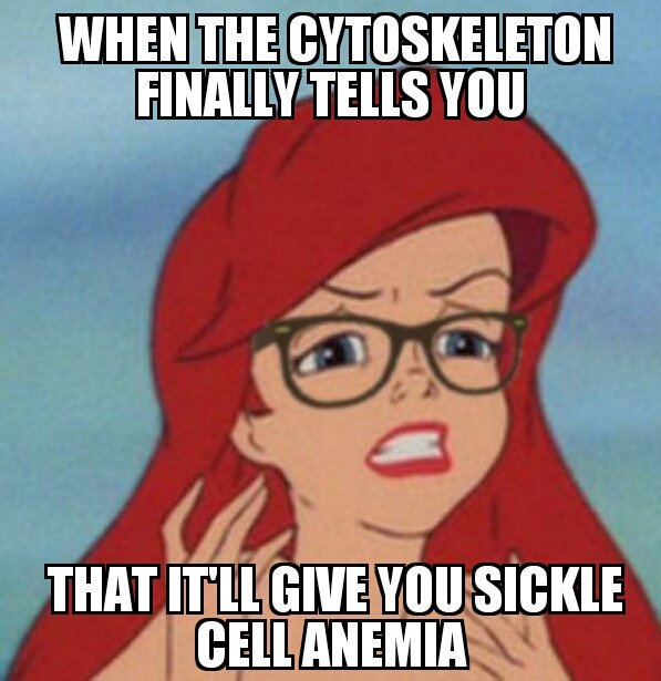 carl_membraneus's tweet photo. Maybe you should've mentioned this sooner... #voteforthecellmembrane @mslaflamme https://t.co/1t2LBCBAQF