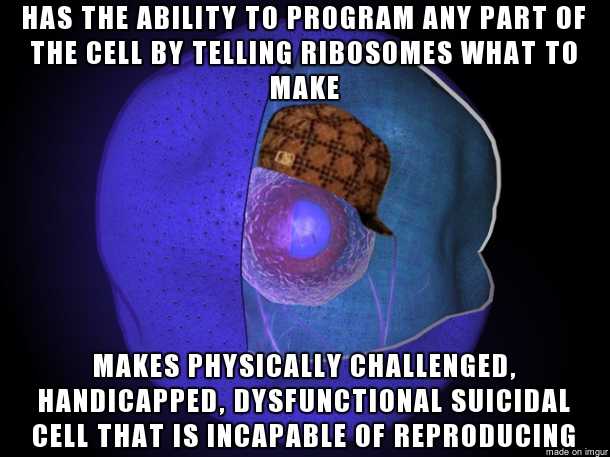 carl_membraneus's tweet photo. The cell membrane keeps its job together. #voteforthecellmembrane @mslaflamme https://t.co/Pwg3J4B2yn