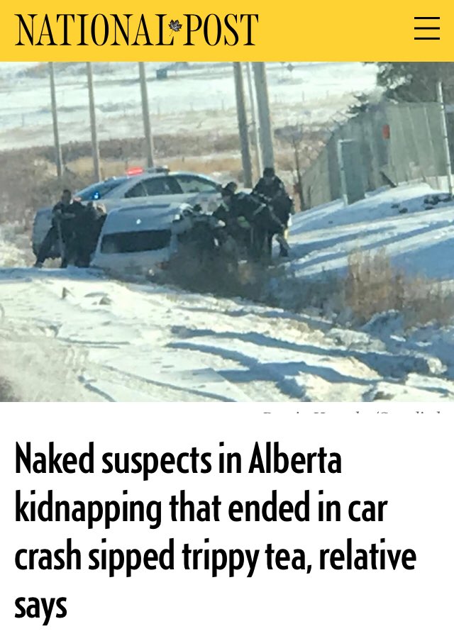 LomoLynn's tweet photo. Note to self: when you’re feeling done, just remember this headline. #yegnews #yeg #nakedcrashkidnapping #trippytea https://t.co/sQ6yUox0j4