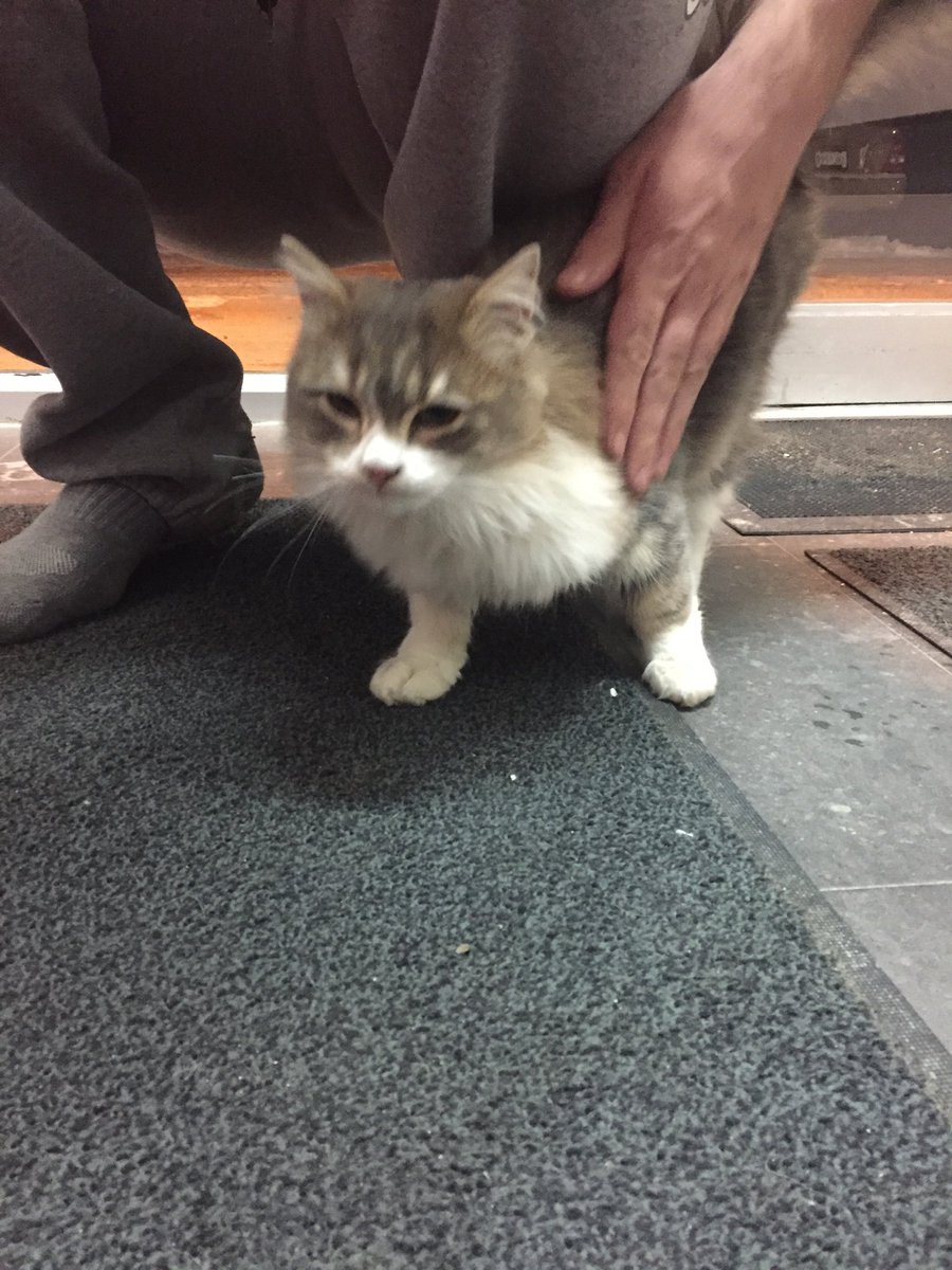 RHCA_yxe's tweet photo. Found on Assiniboine Dr., River Heights. https://t.co/50a95oXyMF