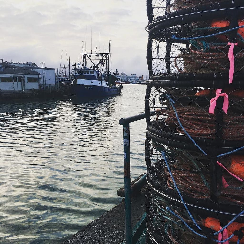 MDFavero's tweet image. The sights, sounds, and, uh...smells of San Francisco are amazing. Long week at #Dreamforce but nice to be able to… ift.tt/2AykkjI