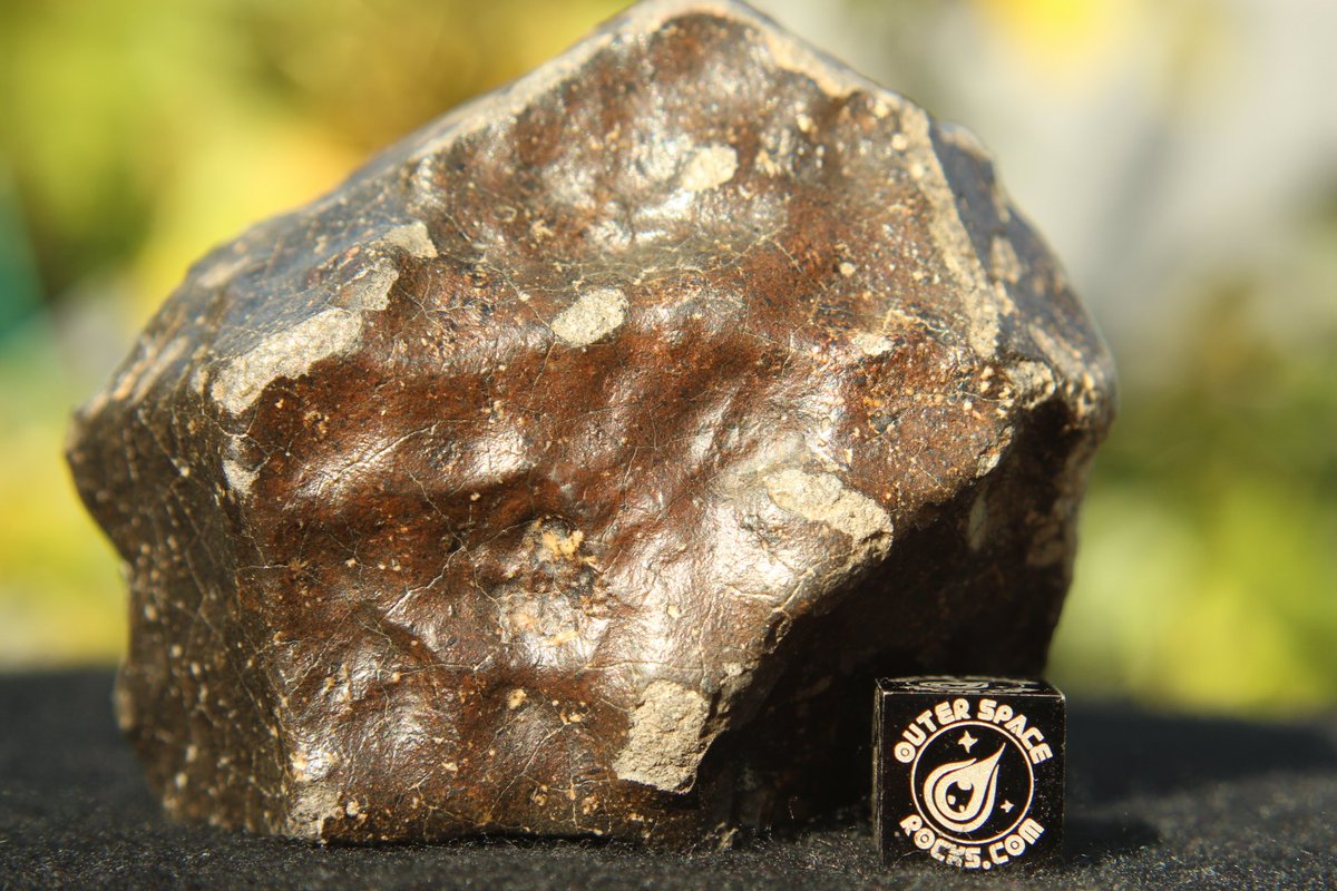 OuterSpaceRocks's tweet photo. Would you just look at this lovely meteorite. Each section of the fusion crust showing a unique color & texture. One side is an almost saddle brown leather color and covered in regmaglypts with super fine flow lines. #VESTA #meteorites #OuterSpaceRocks https://t.co/grF1BsMZ8i