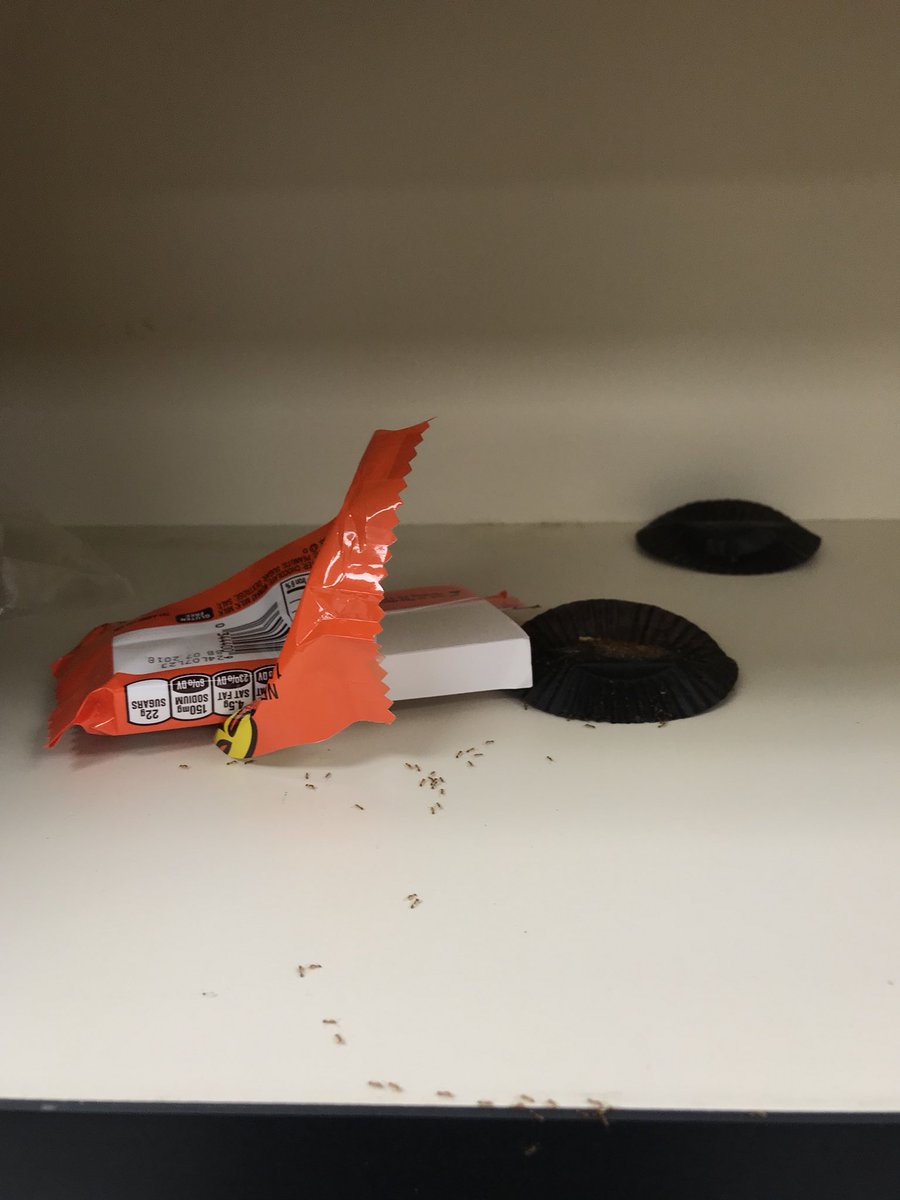 CabotExt's tweet image. There’s no wrong way to eat a Reese’s!