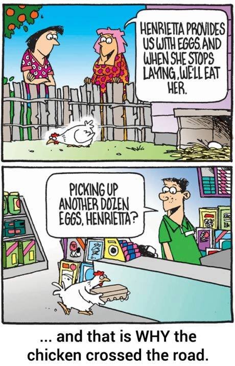 KitchenSprout's tweet image. #FoulJokes #ChickenHumor #ChickenGiggles #LaughterIsTheBestMedicine 
#CheersFromToronto🐔🤣🐔🤣🐔