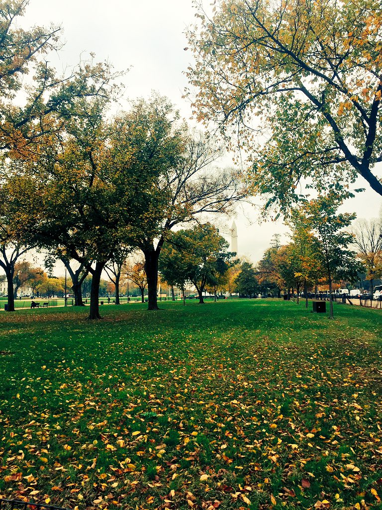 GeorgeHarrowell's tweet image. Taking the scenic route #fallinDC
