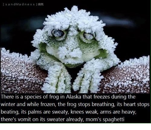 ChandlerHooplah's tweet image. ❕❕