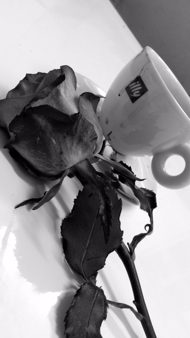 22Sm__'s tweet photo. قلة الحيله غلابه. https://t.co/n6PmCH8S1E
