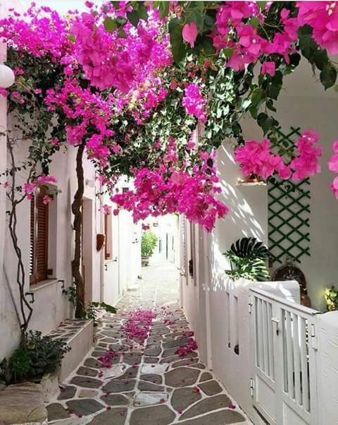 Feliz noche