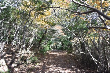 えびの高原の紅葉22の見頃は 混雑状況や駐車場も ツクの世界