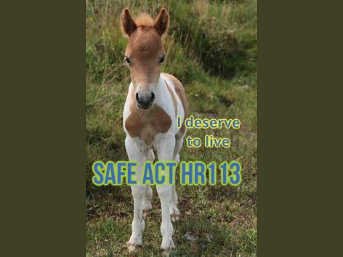 lindaleblanc111's tweet image. @SecretaryZinke @POTUS @LaraLeaTrump @BobGoodlatte6 @MikePenceVP #VotingHumane #VotingOut#Anti-AnimalWelfare #Politician