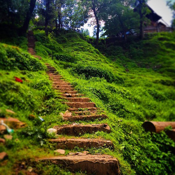 numananwar's tweet photo. stairway to heaven or middle earth -- whichever comes first. #elves #fairies #purri #dontknowurduwordforelves
#forest #greenery #beauty #mountains #stairs #design #lush #explore #wanderlust #magic #got #huts #hotel #adventure #instagood #travel #travellers #wood #carve #north https://t.co/93jca5yuYL