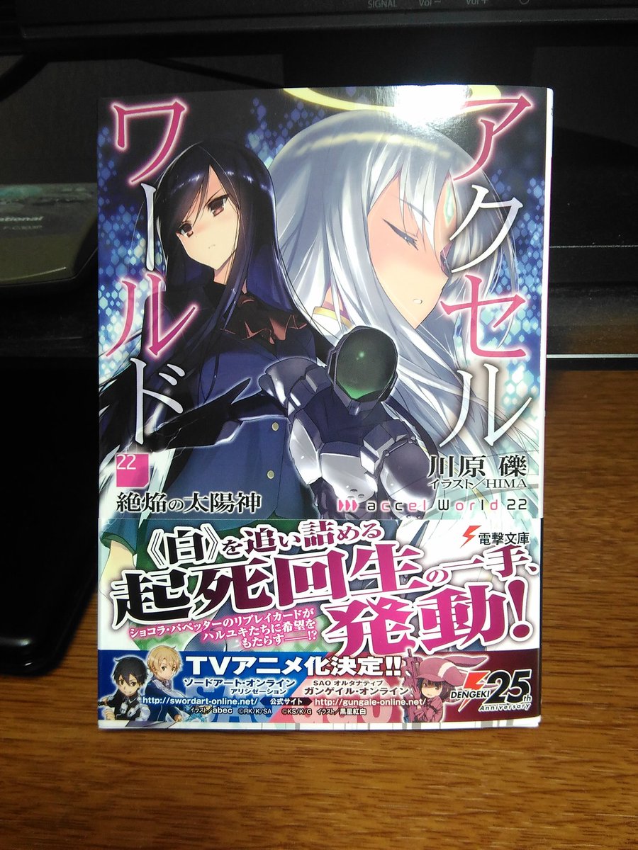 アクセル ワールド22 絶焔の太陽神 感想 やっと王たちが戦ってくれた 人生 心躍ってなんぼですよ
