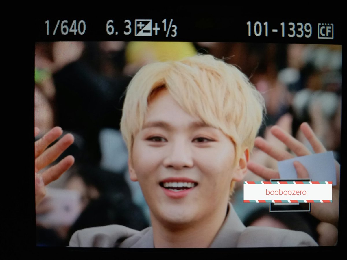 부부제로 tweet media