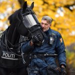 カッコ良過ぎる!ノルウェー騎馬警察もやばみ…めっちゃ強そう…