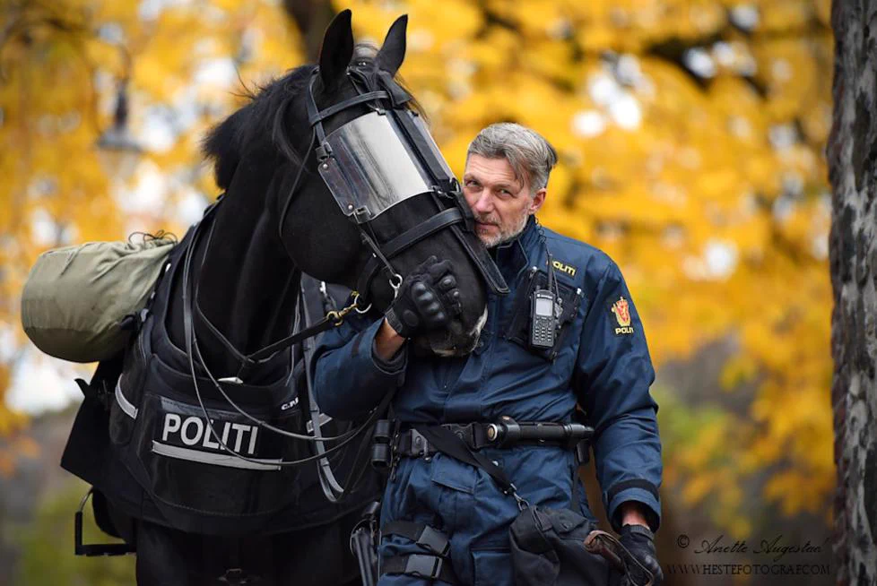 カッコ良過ぎる！！ノルウェー騎馬警察もやばみ…めっちゃ強そう…