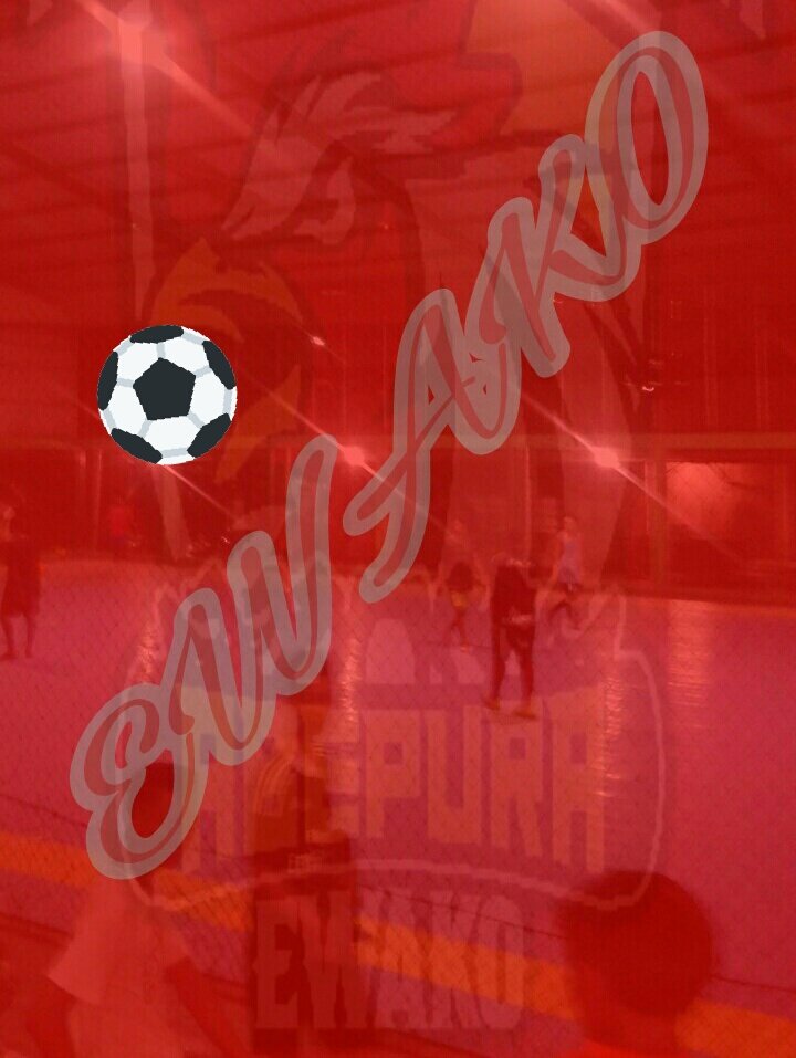 FUTSALday sehat itu Baji...
Jumat. 10.11.2017
21.00 wit (malam)
lap.Futsal Gor Wiguna Abepura
htm: 20ribu
jersey: PSM (home &amp; away)
#Ewako