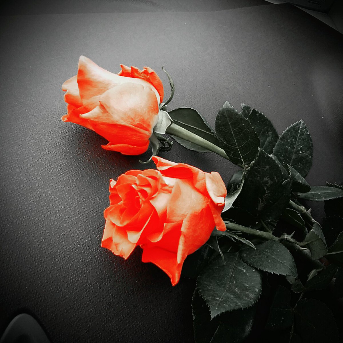 Bushustik's tweet image. С днем рождения, папочка...