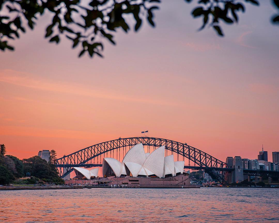 sydney_sider's tweet photo. We could sit here all afternoon! Mrs Macquarie's Chair offers views like this every day. 😍 #ilovesydney

📷 IG/kate_miles_ https://t.co/QSNO4RggFL