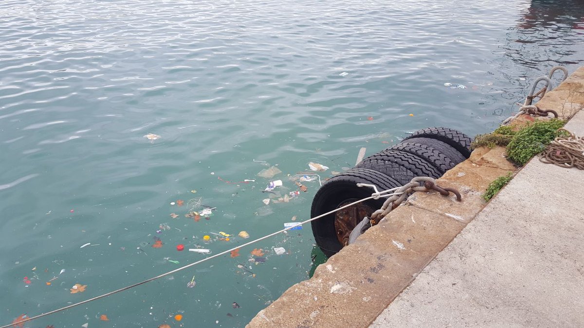 ECO.ly Corporation tweet media