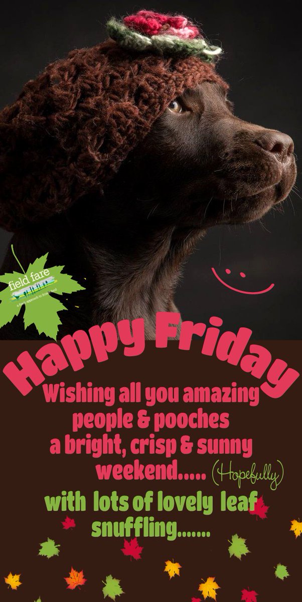 #FF Have a great weekend lovely people &amp; pooches 🐾🍁 @Wellybix <a href="/Woofbed/">WoofBed.co.uk Where Dogs Sleep Better</a> @PoochAndCo <a href="/keegansknines/">Keegan-Knines</a> <a href="/dotty4paws/">Dotty4Paws</a>