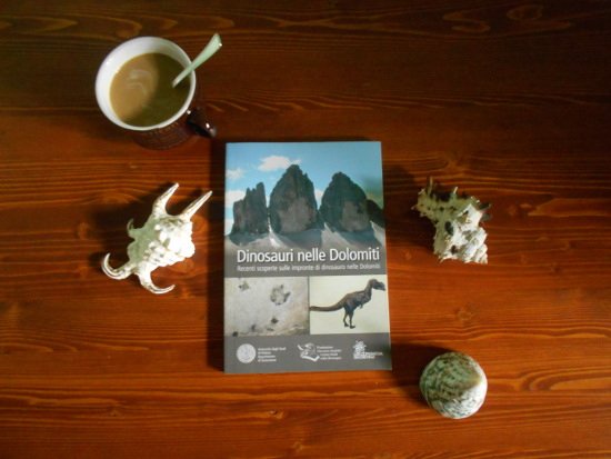 Letture dolomitiche: consigli a tema!
Scopri: bit.ly/2AxS8NR