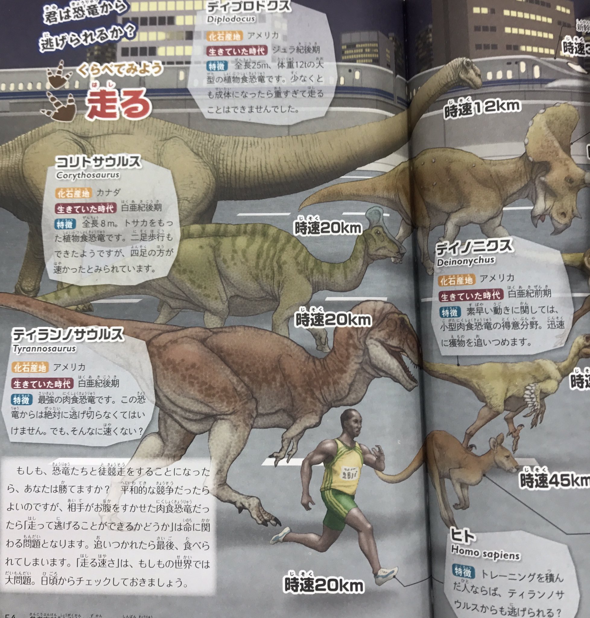 트위터의 もしも の図鑑 님 恐竜と走る速さを比べる 最強肉食恐竜であるティランノサウルスは時速km そしてなんとヒトも時速km え 頑張れば逃げられるかも と思いきや短距離走でのティランノサウルスは秒速17m以上 一方ヒトは秒速10m 幸運を祈り 트위터의 もしも の図鑑 님 恐竜と走る速さを比べる 最強肉食恐竜であるティランノサウルスは時速km そしてなんとヒトも時速km え 頑張れば逃げられるかも と思いきや短距離走でのティランノサウルスは秒速17m以上 一方ヒトは秒速10m 幸運を祈り